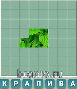 Игра Словария - крапива