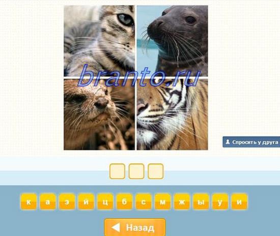 Ответы угадай слово по 4 картинкам ответы