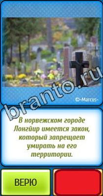 Ты не поверишь помощь Уровень 10