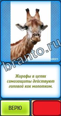 Ты не поверишь: Уровень 11 ответы на игру Ты не поверишь Уровень 11