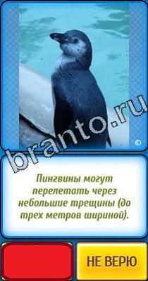 ответы на игру в одноклассниках Ты не поверишь Уровень 16