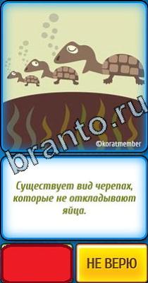 Ты не поверишь: Уровень 19 Ты не поверишь подсказки Уровень 19