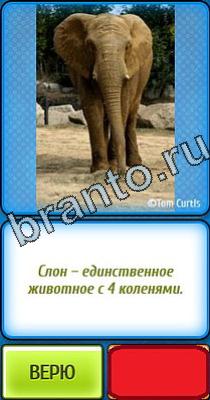 Ты не поверишь: Уровень 21 ответы на игру Ты не поверишь Уровень 21