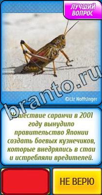 Подсказки на игру Ты не поверишь Уровень 22