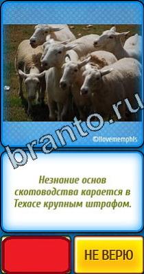 Ты не поверишь: Уровень 23 Решения на игру Ты не поверишь Уровень 23