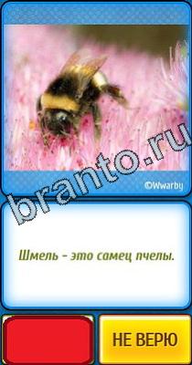 Помощь на игру Ты не поверишь Уровень 24