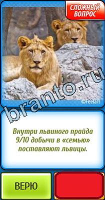 Ты не поверишь: Уровень 25 ответы к игре Ты не поверишь Уровень 25
