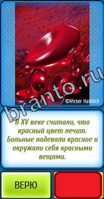 Ты не поверишь ответы Уровень 28