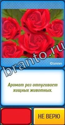Ты не поверишь: Уровень 31 ответы на игру Ты не поверишь Уровень 31