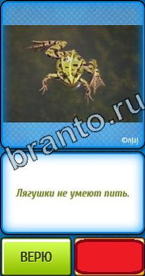 Помощь на игру Ты не поверишь Уровень 34