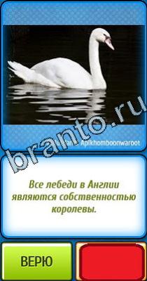 ответы на игру в одноклассниках Ты не поверишь Уровень 36