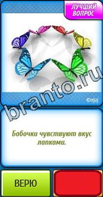 Ты не поверишь ответы Уровень 38