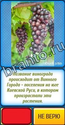 Ты не поверишь: Уровень 39 Ты не поверишь подсказки Уровень 39
