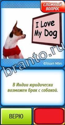 Ты не поверишь ответы Уровень 48