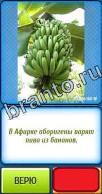 Ты не поверишь: Уровень 51 ответы на игру Ты не поверишь Уровень 51