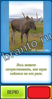 Ты не поверишь ответы Уровень 58