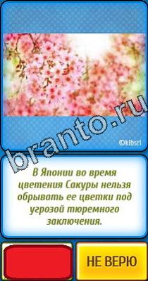 Ты не поверишь помощь Уровень 60