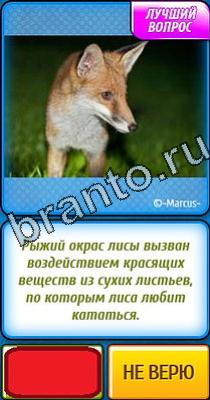 Помощь на игру Ты не поверишь Уровень 64