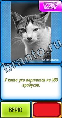 Ты не поверишь: Уровень 67 Ты не поверишь игра ответы в одноклассниках Уровень 67