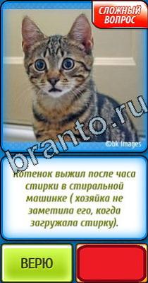 Ты не поверишь помощь Уровень 70