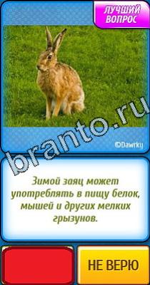 Ты не поверишь: Уровень 77 Ты не поверишь игра ответы в одноклассниках Уровень 77