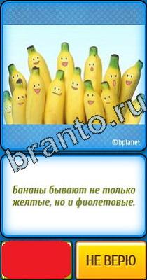 Ты не поверишь: Уровень 89 Ты не поверишь подсказки Уровень 89