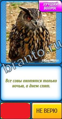 Ты не поверишь помощь Уровень 90