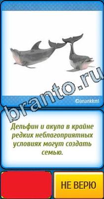 Ты не поверишь: Уровень 91 ответы на игру Ты не поверишь Уровень 91