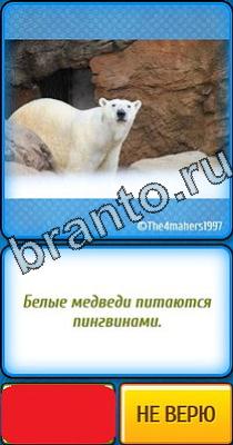 Ты не поверишь подсказки Уровень 109