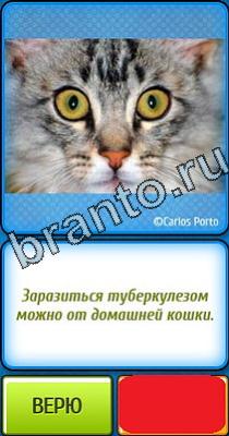 ответы на игру Ты не поверишь Уровень 111