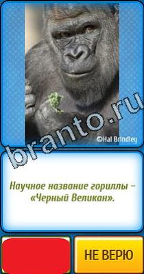 Помощь на игру Ты не поверишь Уровень 114