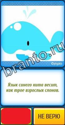 Ты не поверишь подсказки Уровень 119