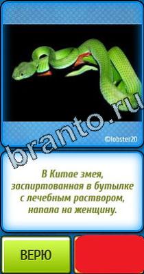 ответы на игру Ты не поверишь Уровень 121