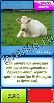 ответы к игре Ты не поверишь Уровень 125