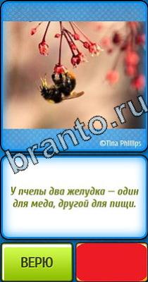 Ты не поверишь ответы Уровень 128