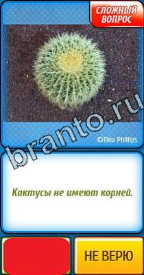 Подсказки на игру Ты не поверишь Уровень 132