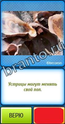 Решения на игру Ты не поверишь Уровень 133