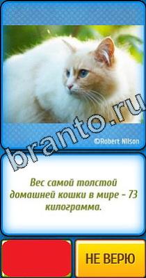 ответы к игре Ты не поверишь Уровень 135