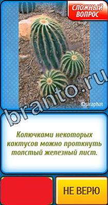 Ты не поверишь игра ответы в одноклассниках Уровень 137