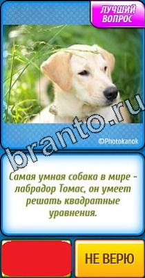 Ты не поверишь подсказки Уровень 139