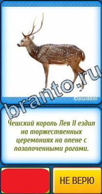 ответы на игру Ты не поверишь Уровень 141