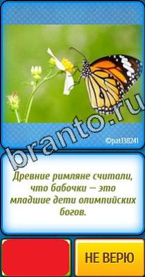 Решения на игру Ты не поверишь Уровень 143