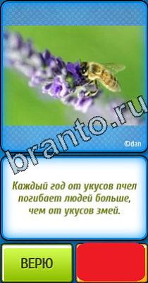 Ты не поверишь ответы Уровень 148