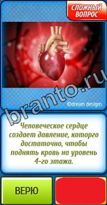 ответы на игру Ты не поверишь Уровень 201