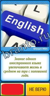 Помощь на игру Ты не поверишь Уровень 204
