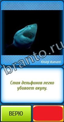 ответы на игру в одноклассниках Ты не поверишь Уровень 206