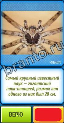 ответы на игру в одноклассниках Ты не поверишь Уровень 226