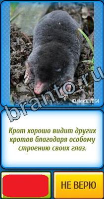 Ты не поверишь ответы Уровень 228