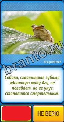 Решения на игру Ты не поверишь Уровень 233