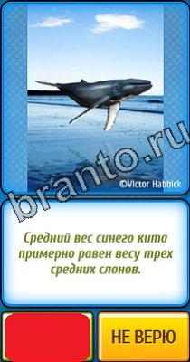 Помощь на игру Ты не поверишь Уровень 234